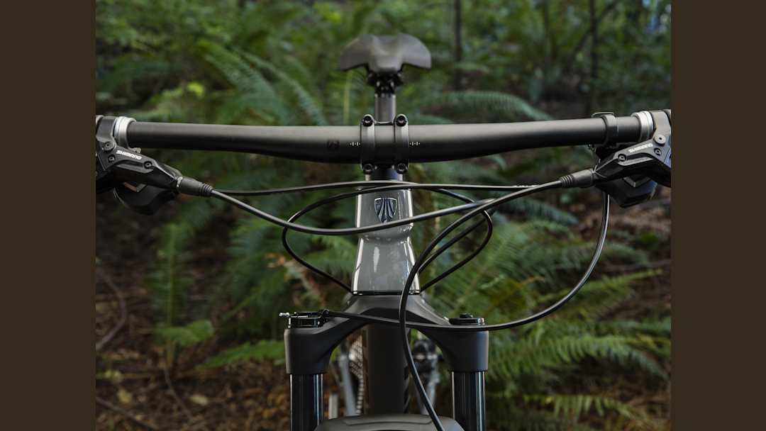 X-Caliber 9 - Trek Bikes