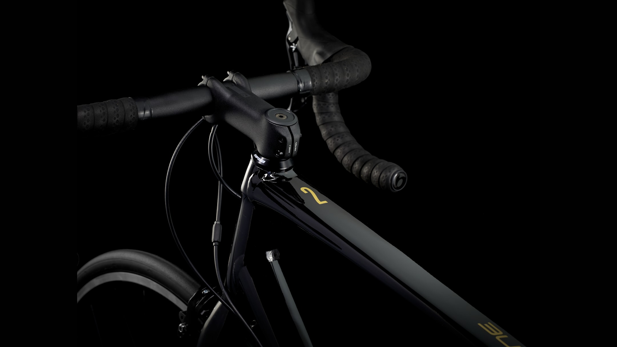 Domane AL 2 Rim - Trek Bikes