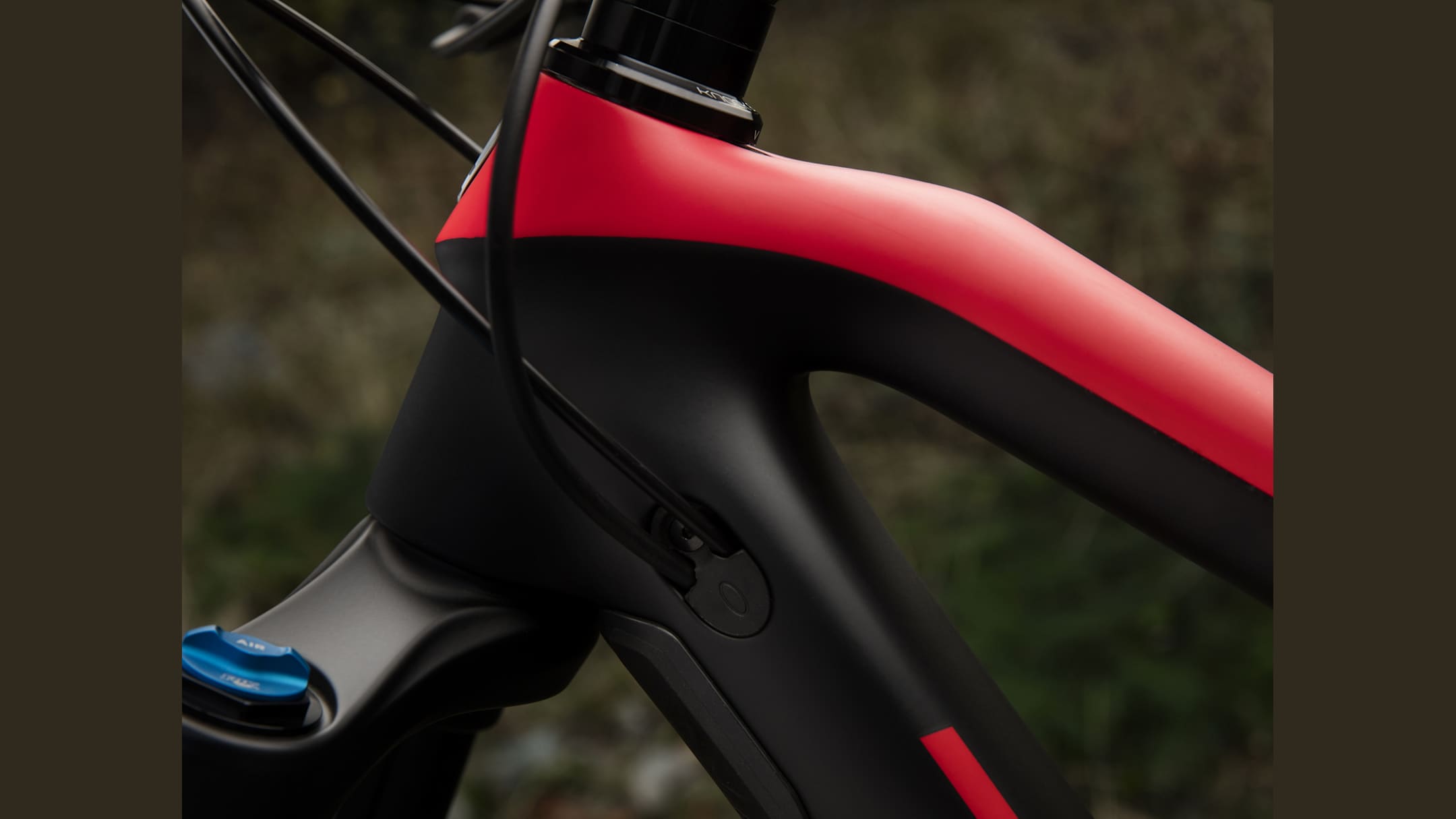 Fuel EX 9.7 29 - Trek Bikes