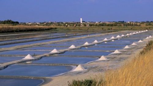 Tour com passeio de moliceiro em Aveiro (5 horas) Tour com passeio de moliceiro em Aveiro (5 horas)