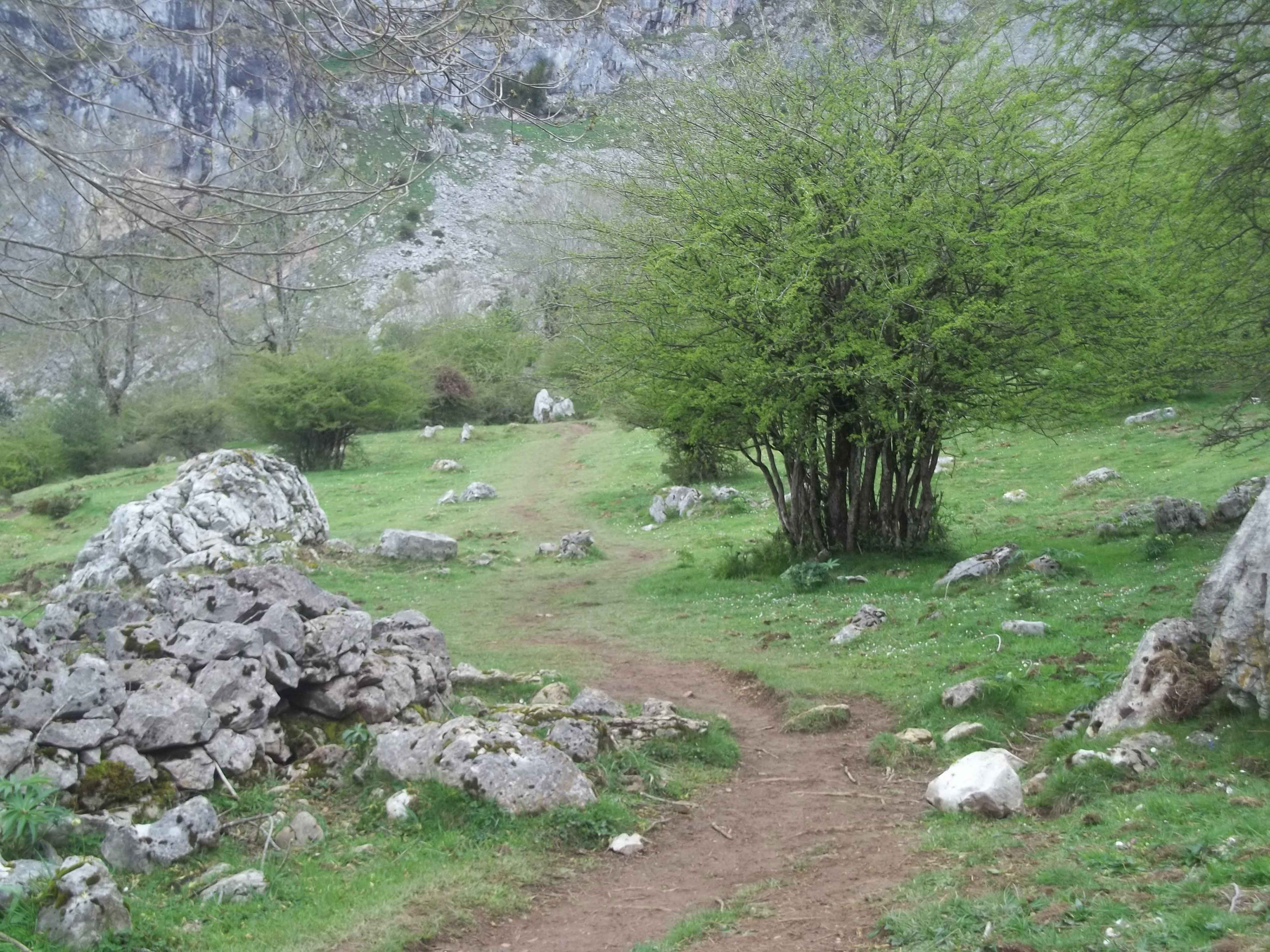 Á descoberta dos picos da Europa Á descoberta dos picos da Europa