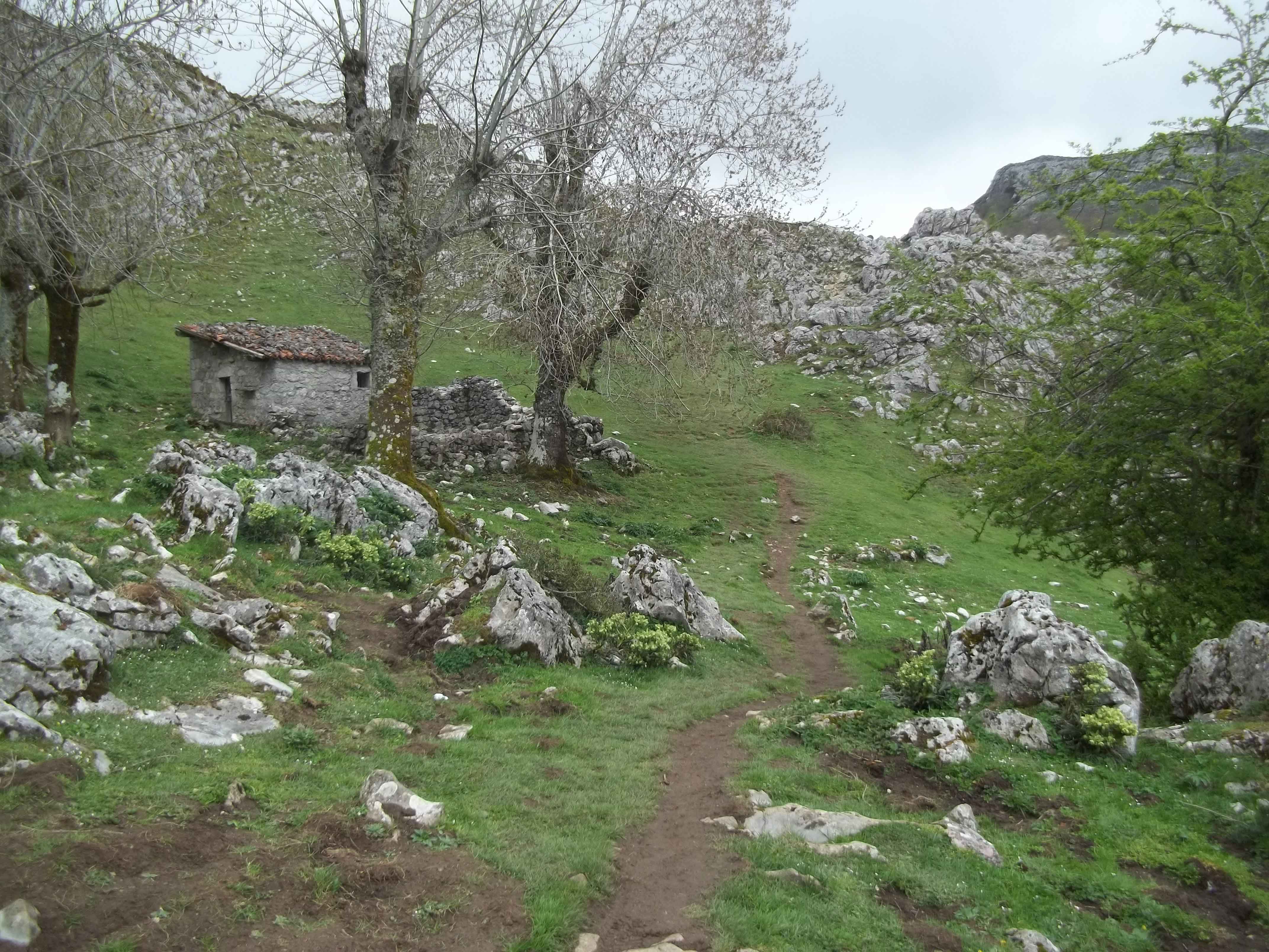 Á descoberta dos picos da Europa Á descoberta dos picos da Europa
