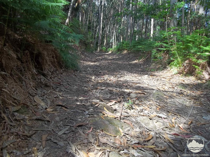 Caminhada pelo Vale do Urtigosa Caminhada pelo Vale do Urtigosa