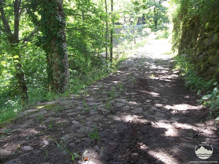 Caminhada pelo Vale do Urtigosa Caminhada pelo Vale do Urtigosa