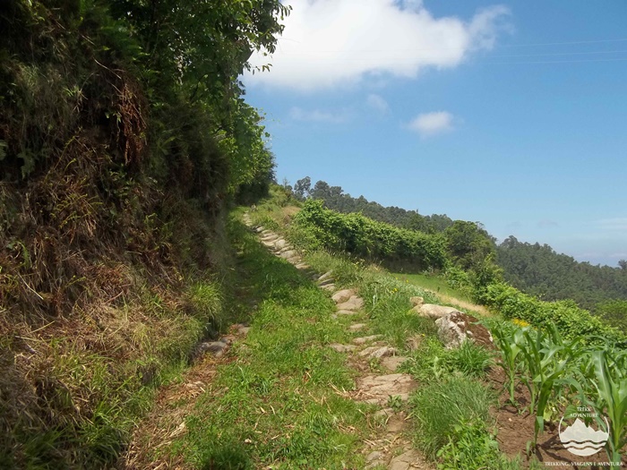 Caminhada pelo Vale do Urtigosa Caminhada pelo Vale do Urtigosa