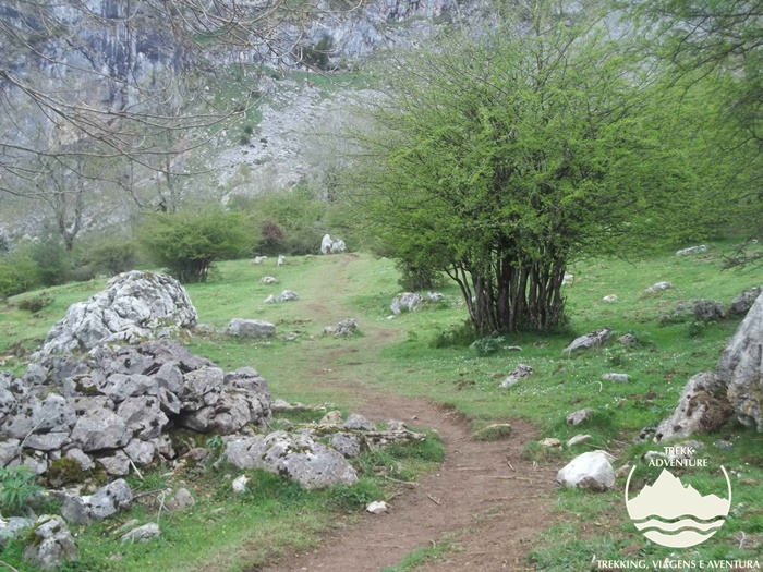 À descoberta dos picos da Europa - 3ª edição À descoberta dos picos da Europa - 3ª edição