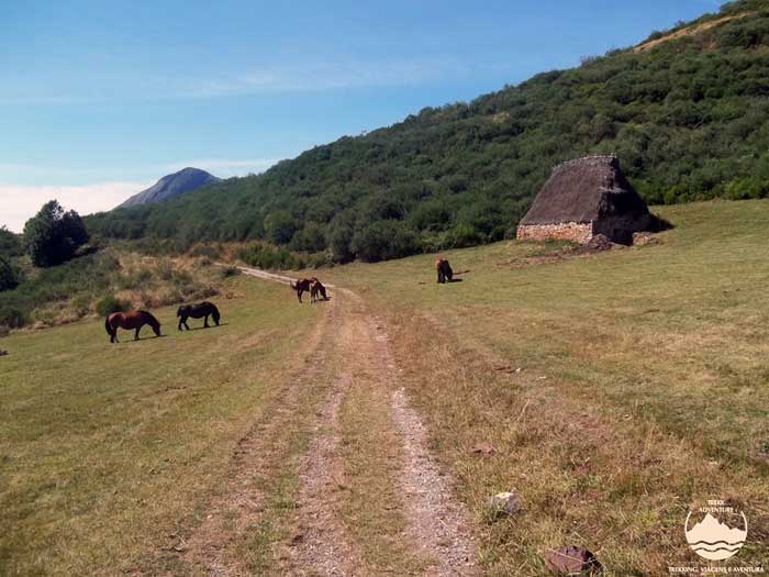 Parque natural de somiedo - 1º edição 2020