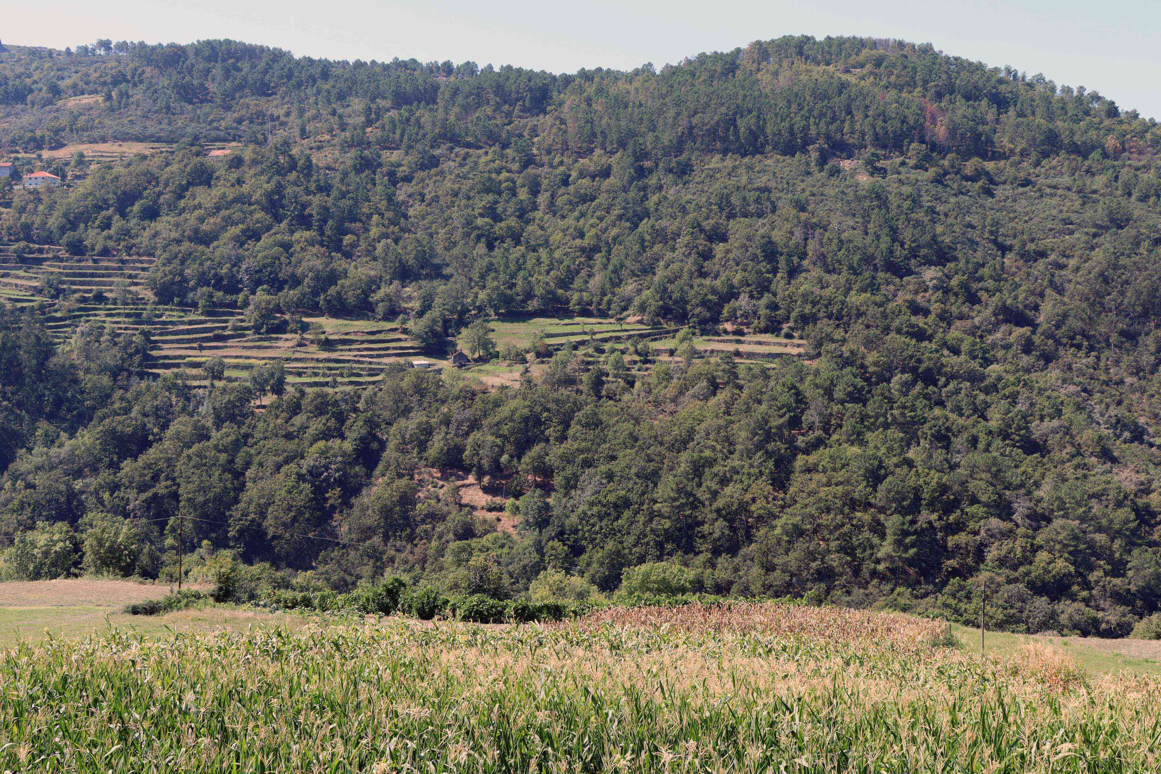 12 Trilhos Épicos - Vale do Bestança 12 Trilhos Épicos - Vale do Bestança