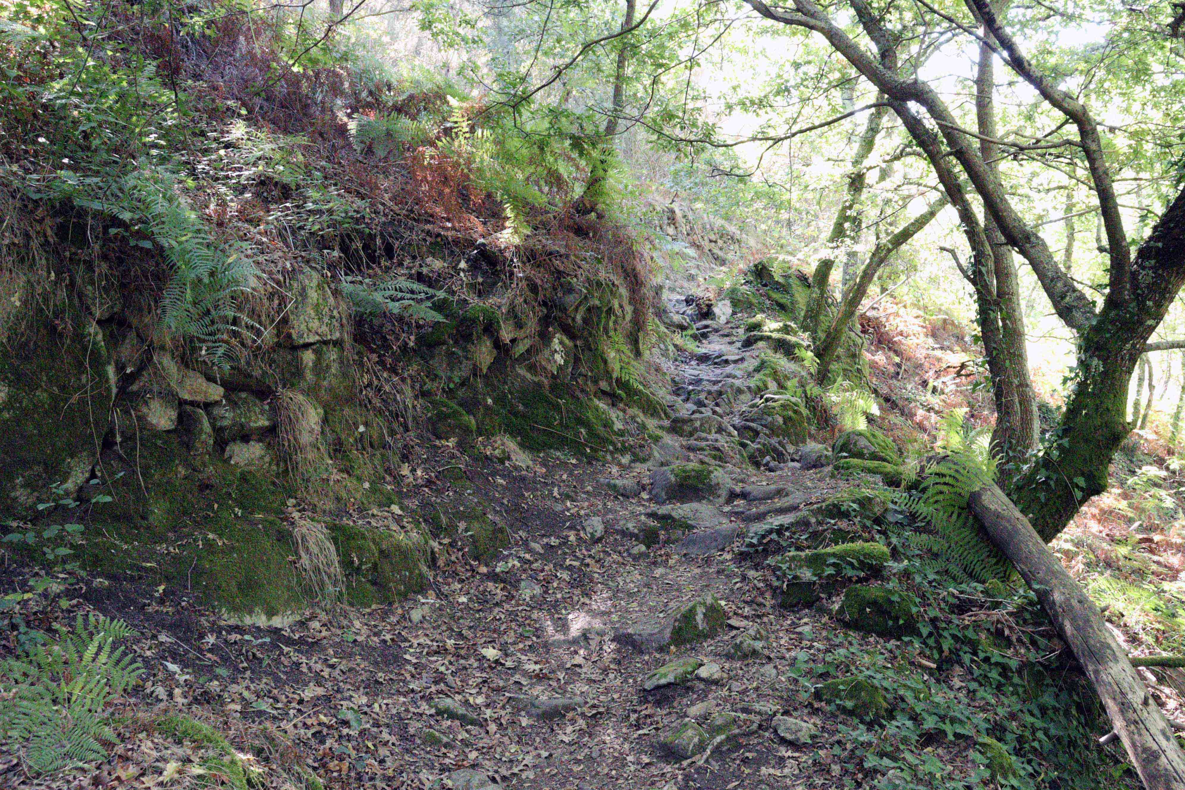 12 Trilhos Épicos - Vale do Bestança 12 Trilhos Épicos - Vale do Bestança