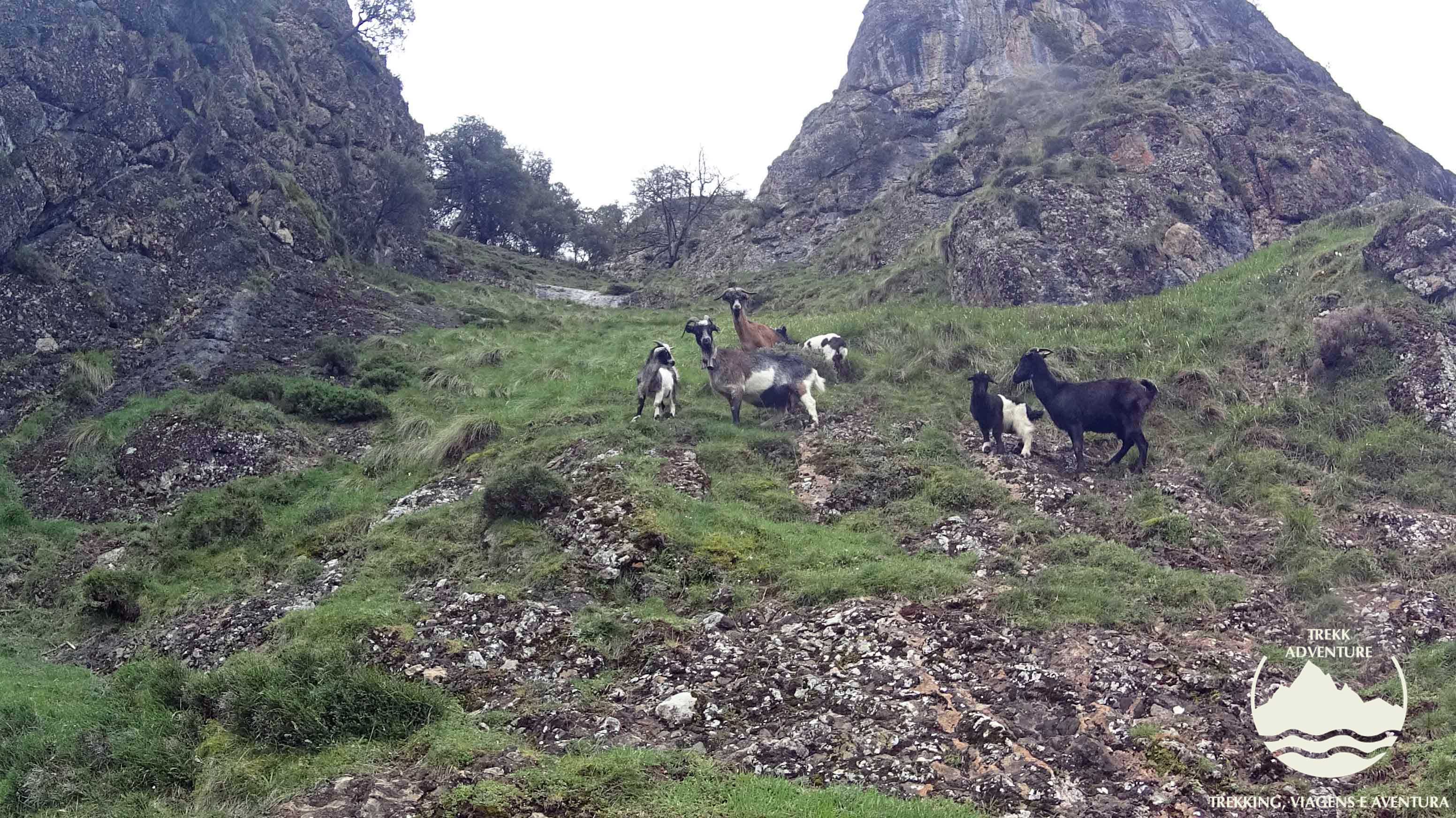 Picos da Europa 2022 - (3 dias) Picos da Europa 2022 - (3 dias)