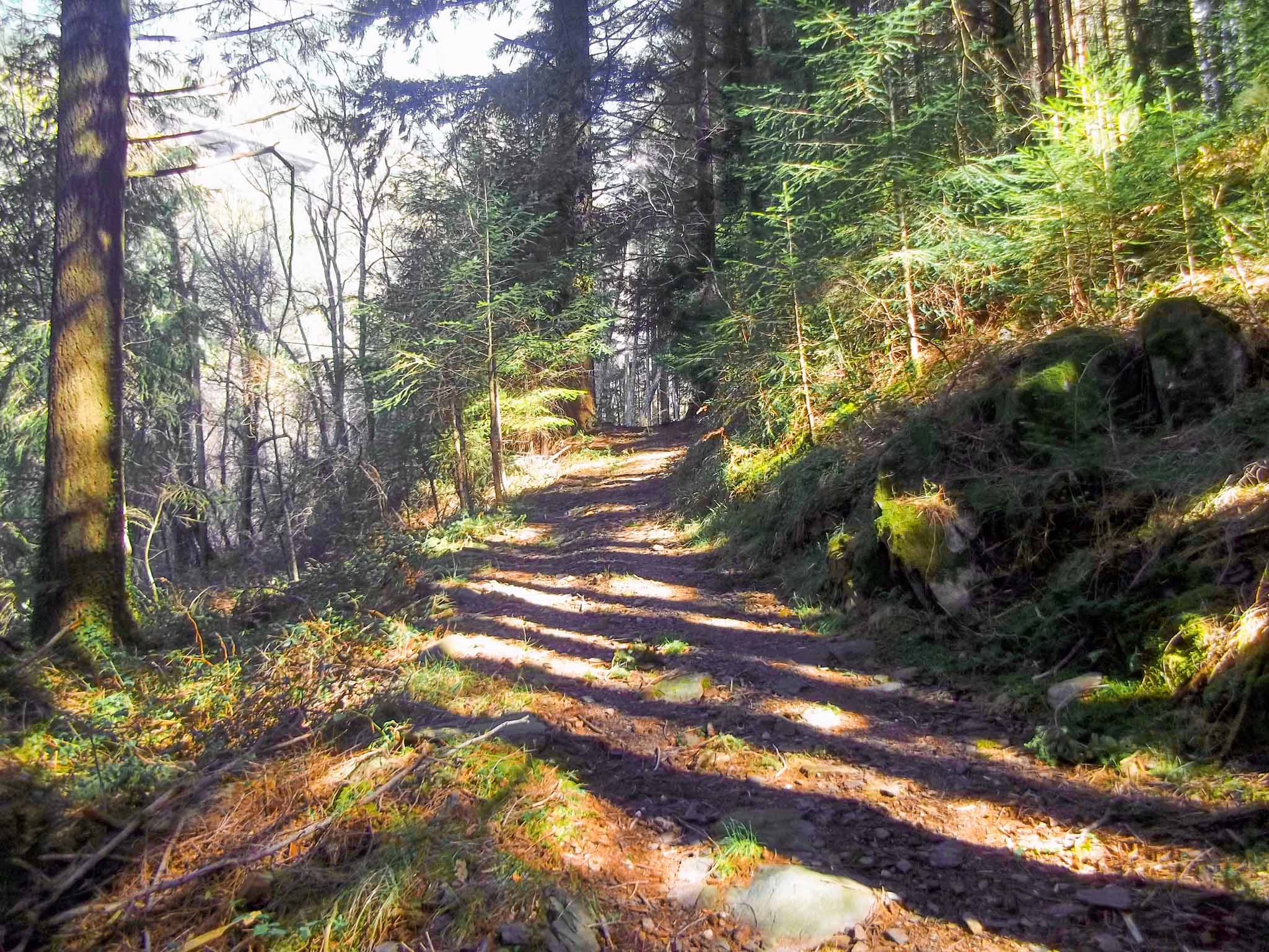 Por montes e vales na serra do Marão 