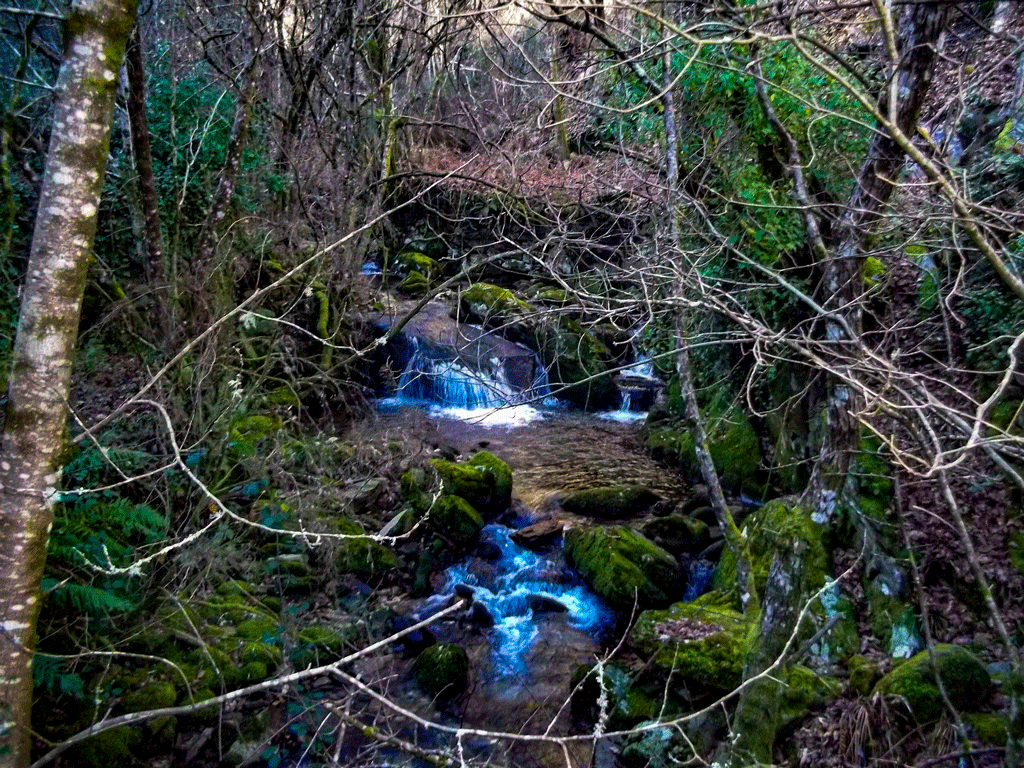 O carrocel da Freita - Hard trekking O carrocel da Freita - Hard trekking