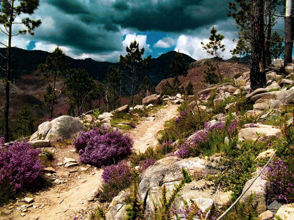 Gerês - As 7 lagoas de Xertelo Gerês - As 7 lagoas de Xertelo