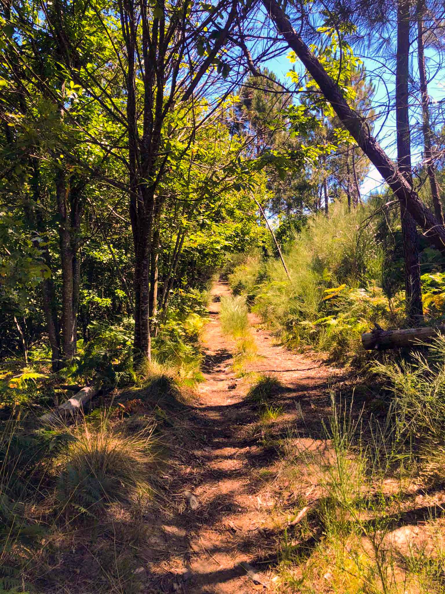 Travessia da serra da Freita em Autonomia – 3 dias Travessia da serra da Freita em Autonomia – 3 dias