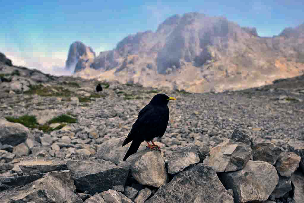 Travessia dos Picos da Europa - 6 dias