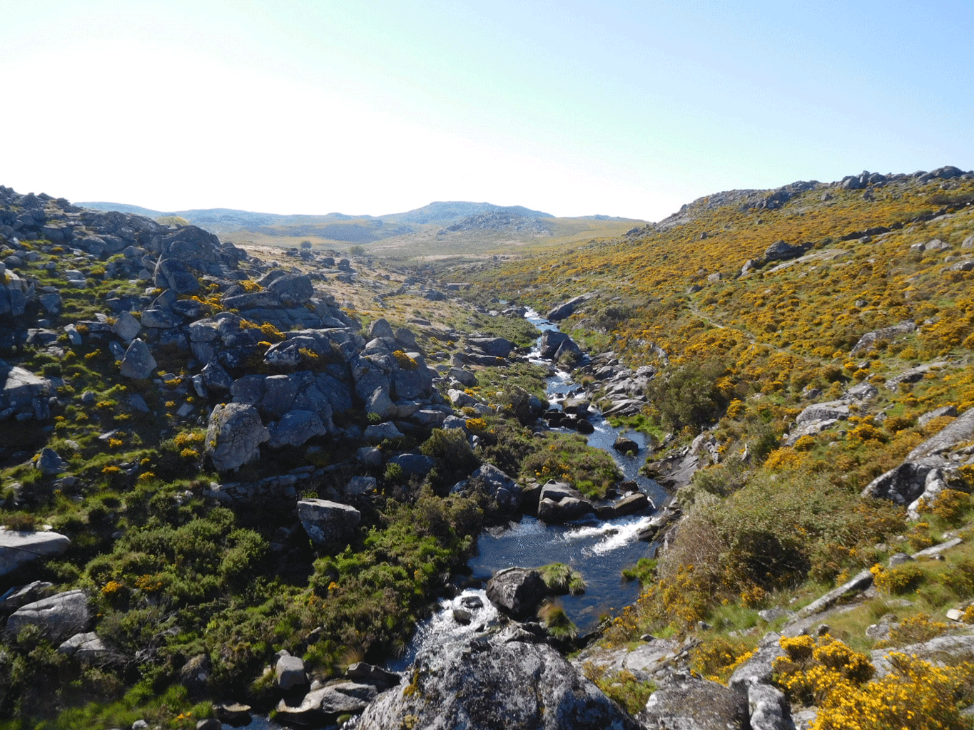 S. Pedro Velho - Serra da Freita