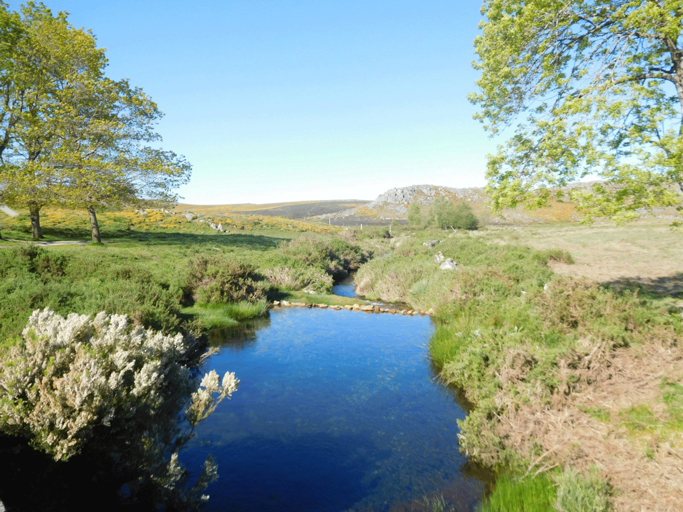 S. Pedro Velho - Serra da Freita