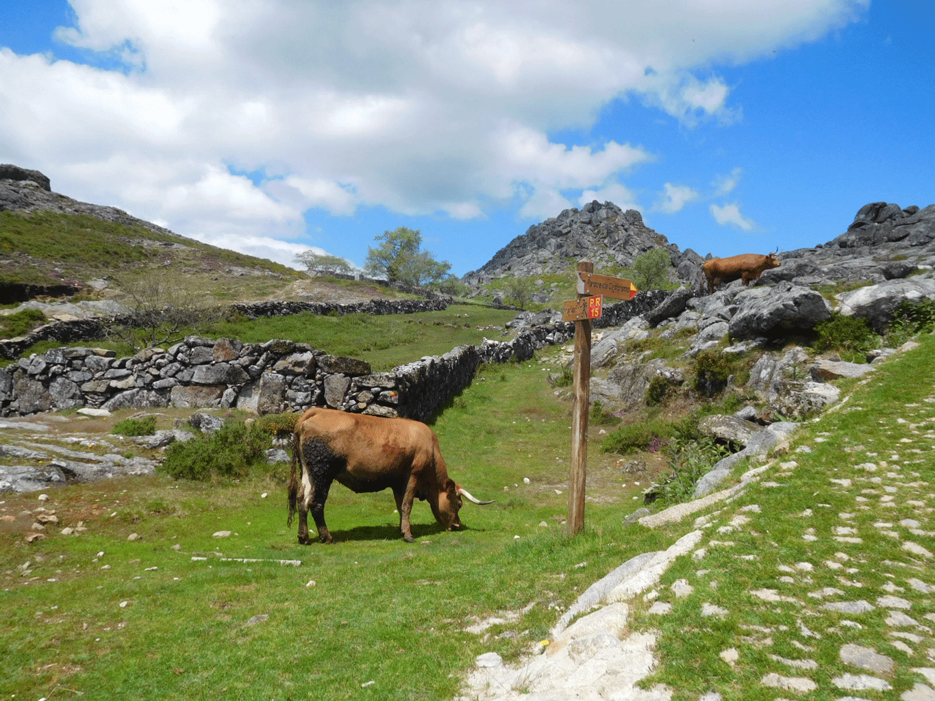 S. Pedro Velho - Serra da Freita