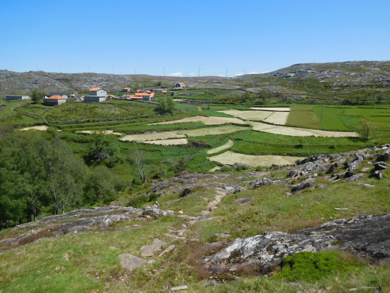 S. Pedro Velho - Serra da Freita