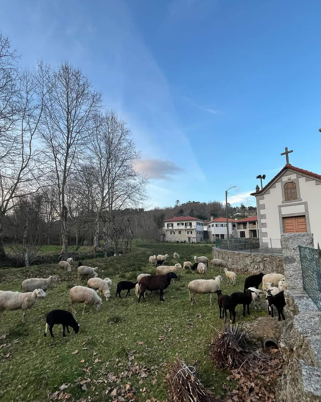 Espigueiros de Várzea Cova, a Quinta Biológica e a Casa do Penedo