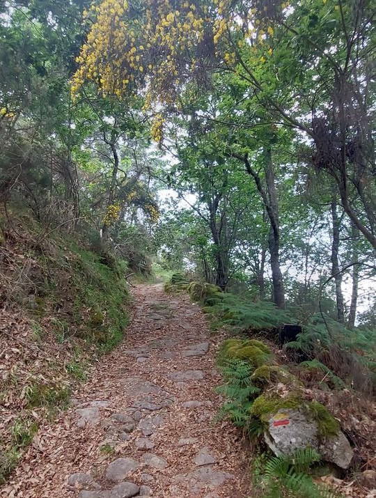 Caminho do Prado,Tendais e Vale do Rio Bestança