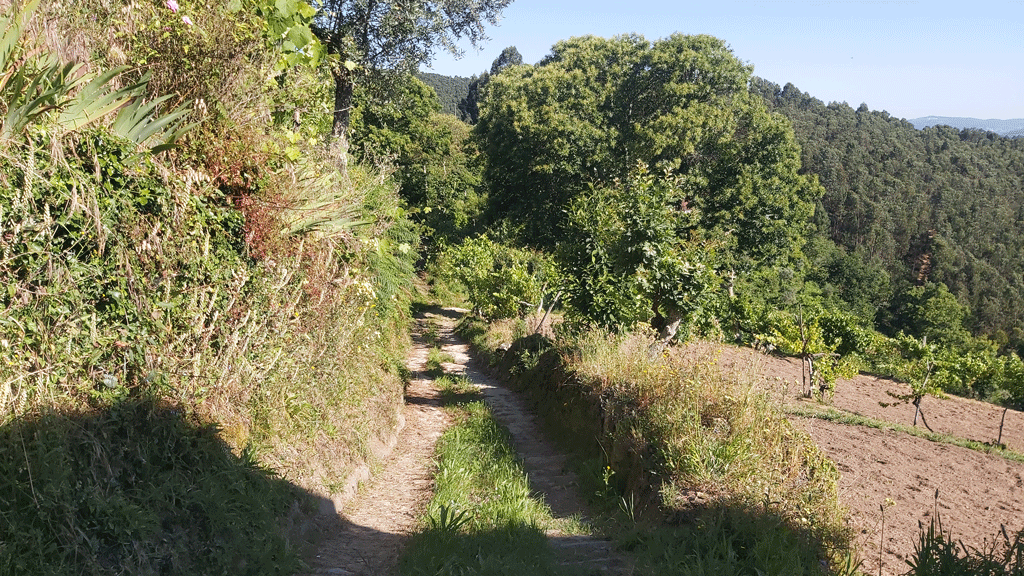 Rota dos Aromas e suas Aldeias