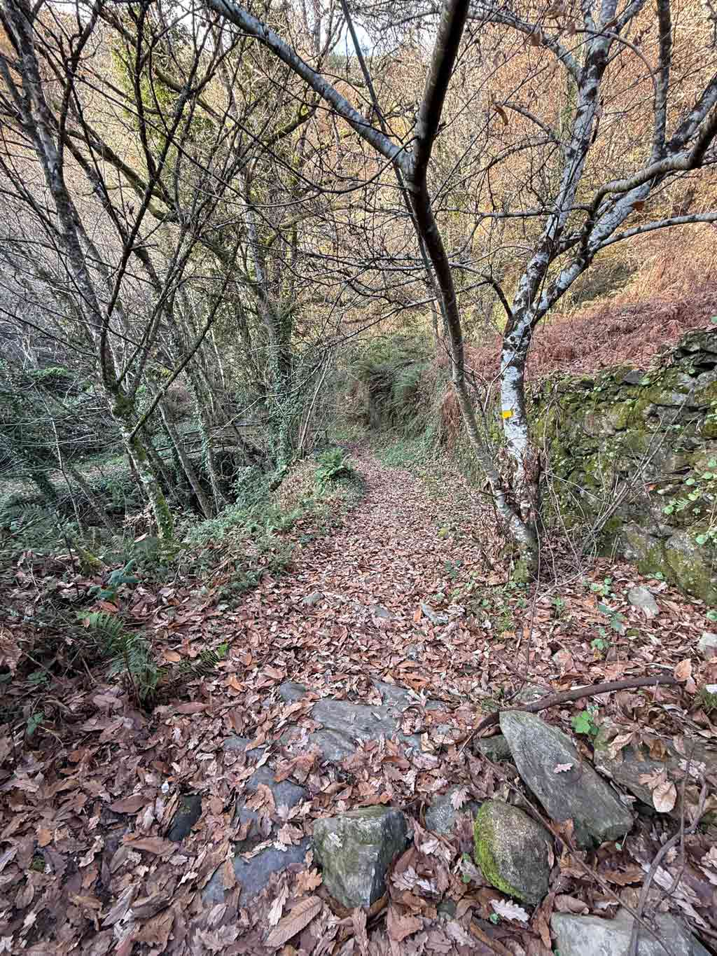 Trekking Ribeira Sacra – 2 Dias (2ª edição) Trekking Ribeira Sacra – 2 Dias (2ª edição)