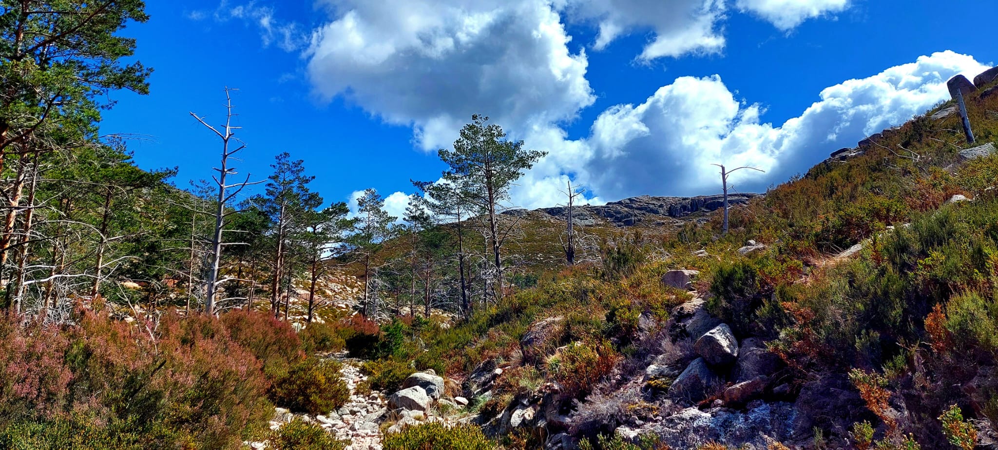 Minas dos Carris Minas dos Carris