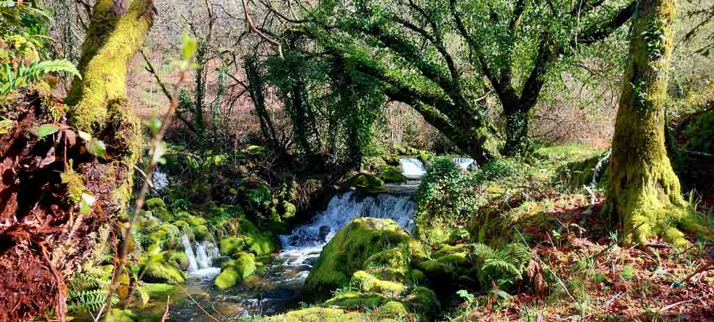 Rota dos Cabeços - Oliveira de Frades Rota dos Cabeços - Oliveira de Frades