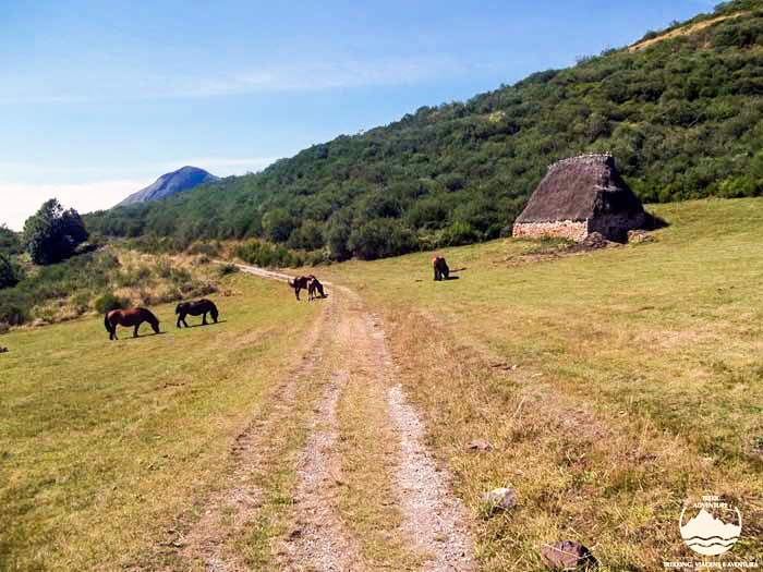 Parque natural de Somiedo - 4 Dias (1ªEdição)