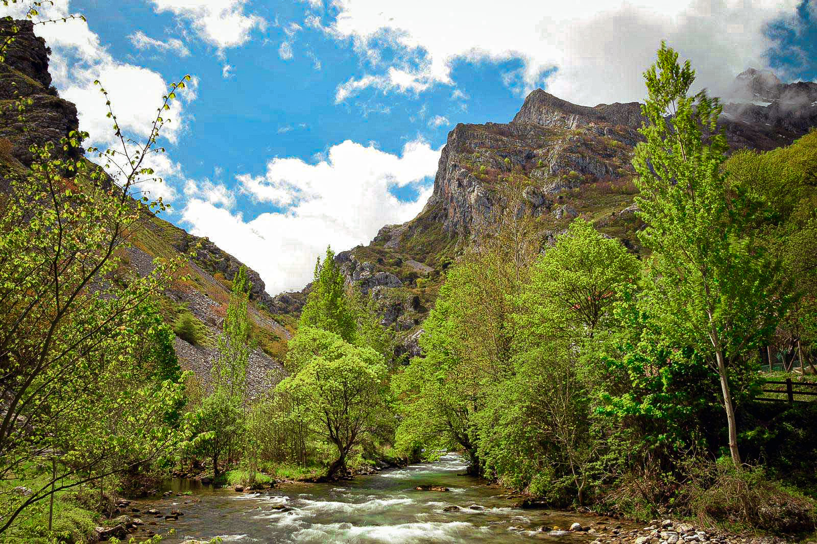 Á descoberta dos picos da Europa (1ªEdição)