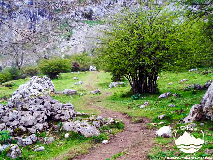 Á descoberta dos picos da Europa (1ªEdição)