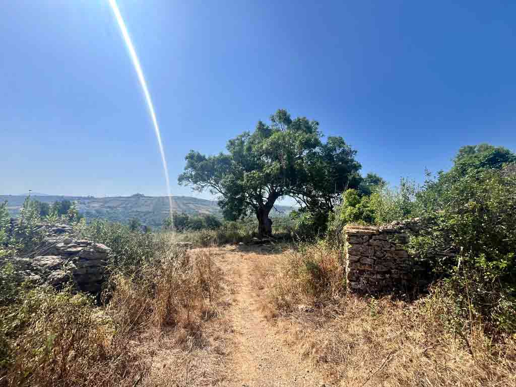 Aldeia fantasma de Broas e Ribeira da Cabrela