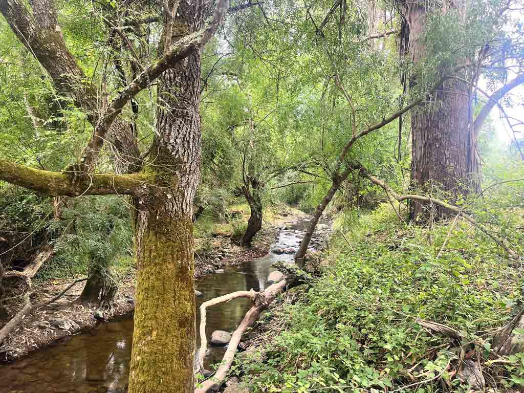 Aldeia fantasma de Broas e Ribeira da Cabrela