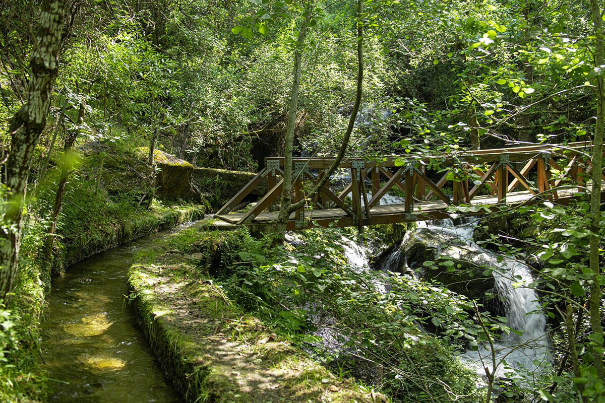 Levada de Piscaredo Levada de Piscaredo