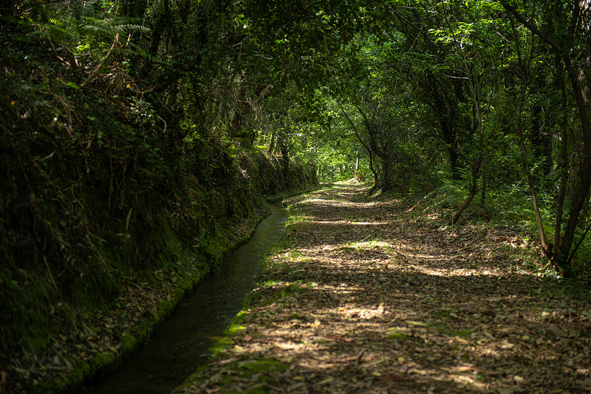 Levada de Piscaredo Levada de Piscaredo