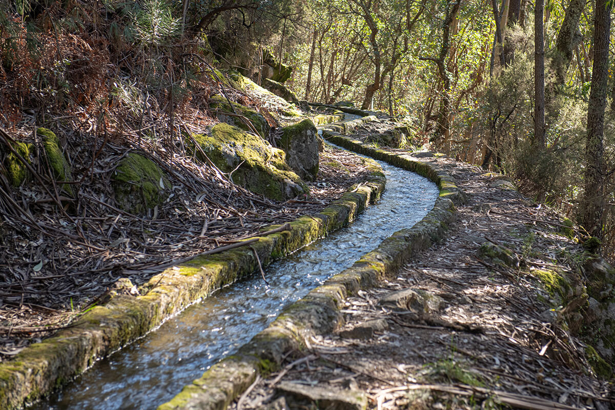 Levada de Piscaredo