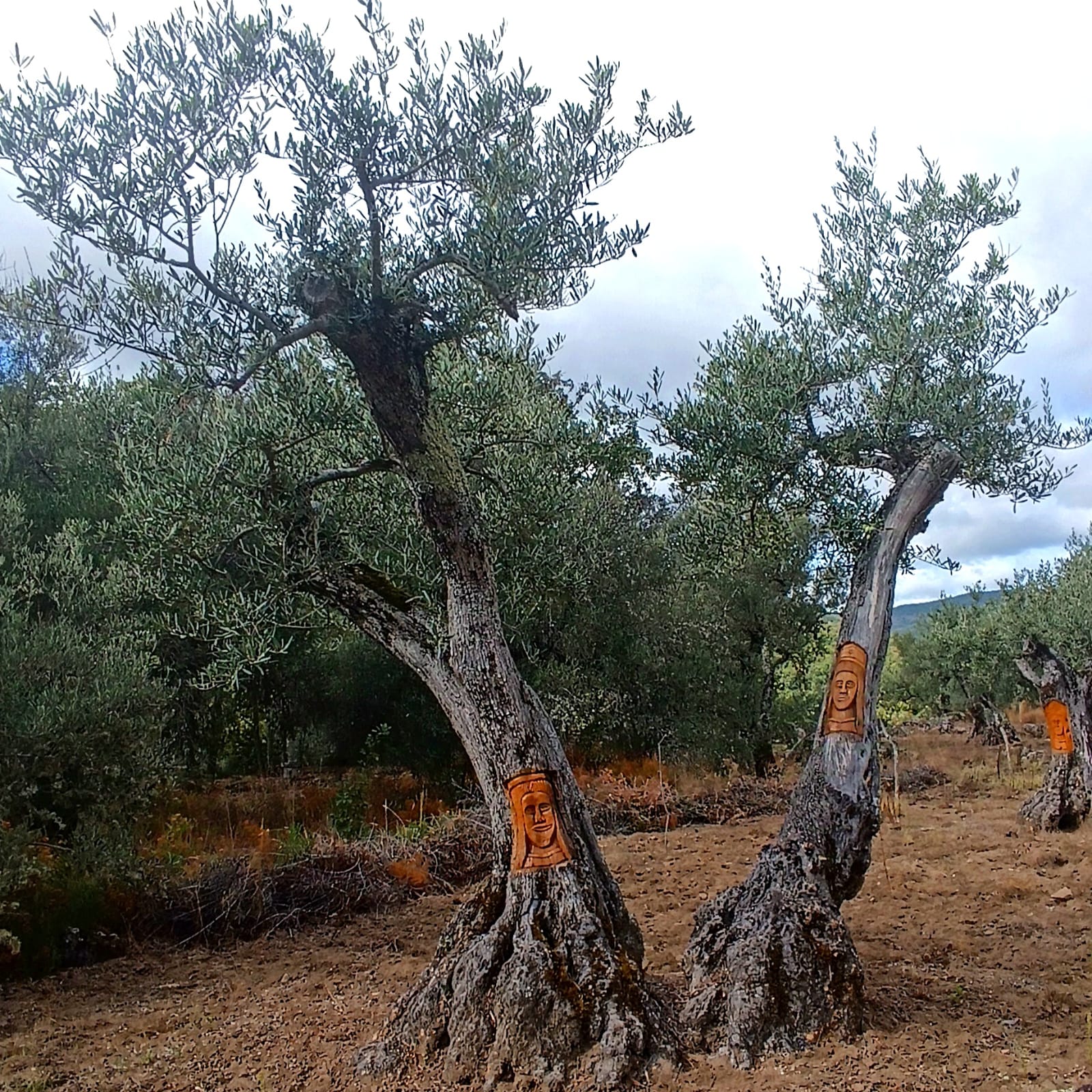 Parque Natural De “Las Batuecas” e Mercado de Natal de Salamanca Parque Natural De “Las Batuecas” e Mercado de Natal de Salamanca
