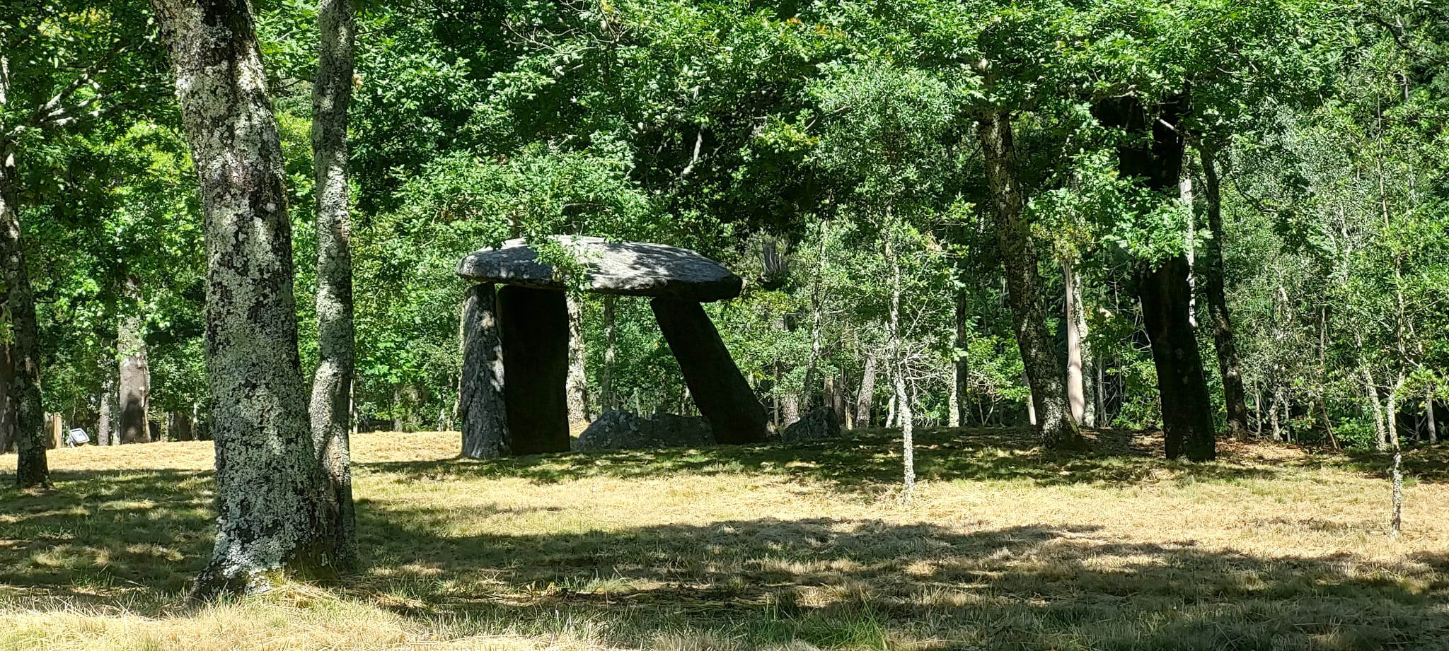 Caminhos com Alma até ao Vértice da Urgueira Caminhos com Alma até ao Vértice da Urgueira