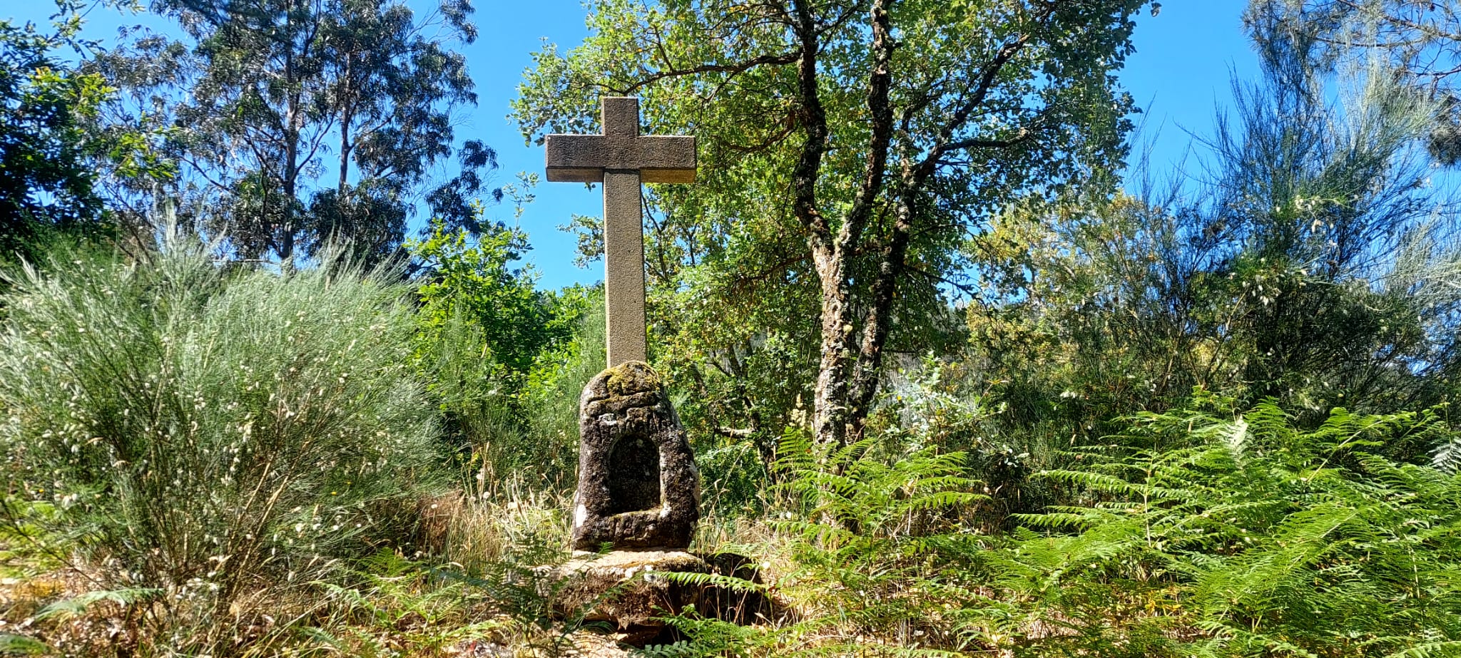 Caminhos com Alma até ao Vértice da Urgueira