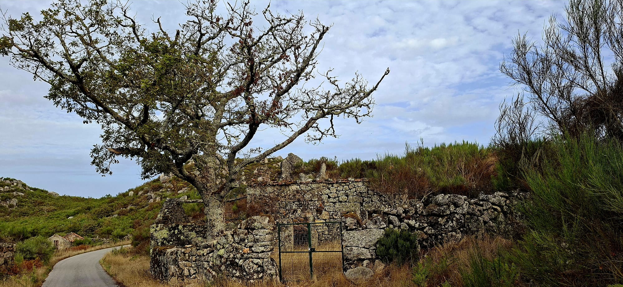 Caminhos com Alma até ao Vértice da Urgueira Caminhos com Alma até ao Vértice da Urgueira
