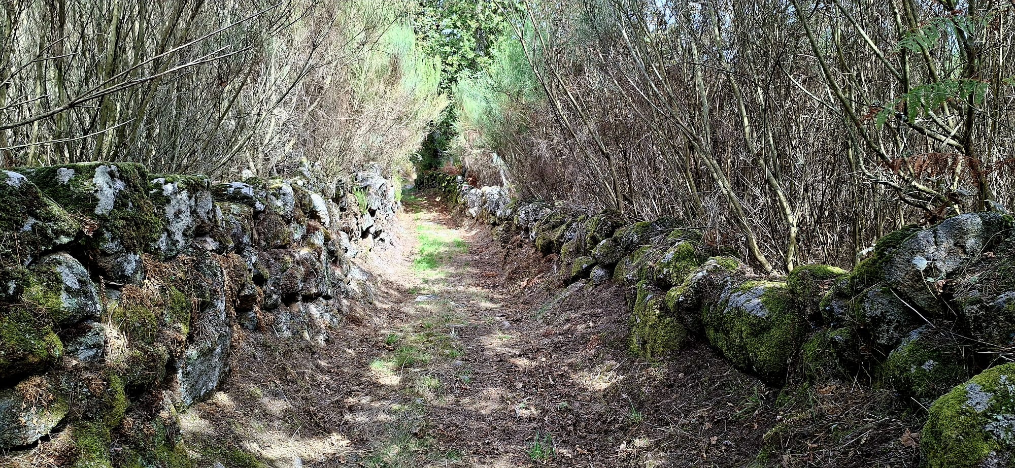 Caminhos com Alma até ao Vértice da Urgueira Caminhos com Alma até ao Vértice da Urgueira