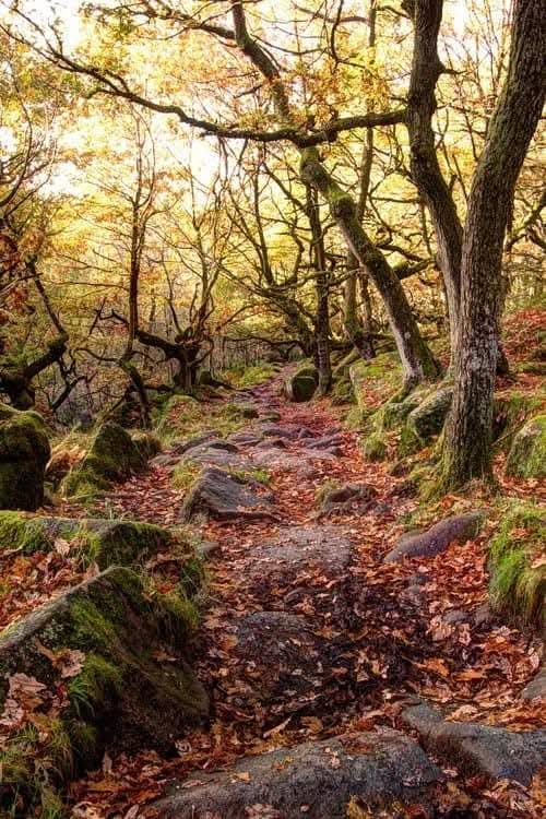 Mata de Albergaria, descobrindo o Outono no Gerês Mata de Albergaria, descobrindo o Outono no Gerês