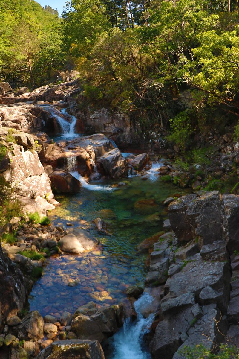Mata de Albergaria, descobrindo o Outono no Gerês Mata de Albergaria, descobrindo o Outono no Gerês