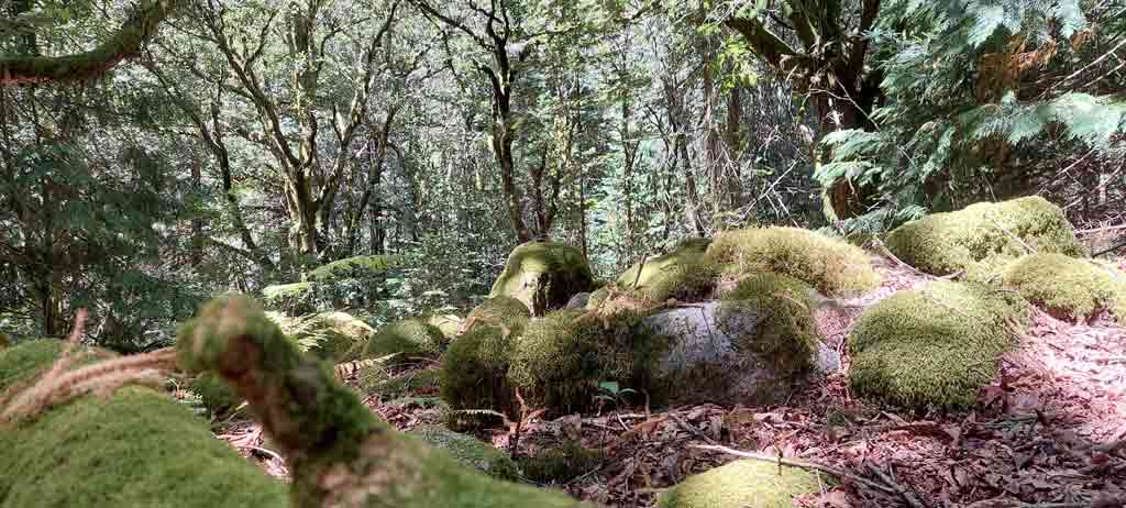 Baloiço da serradela