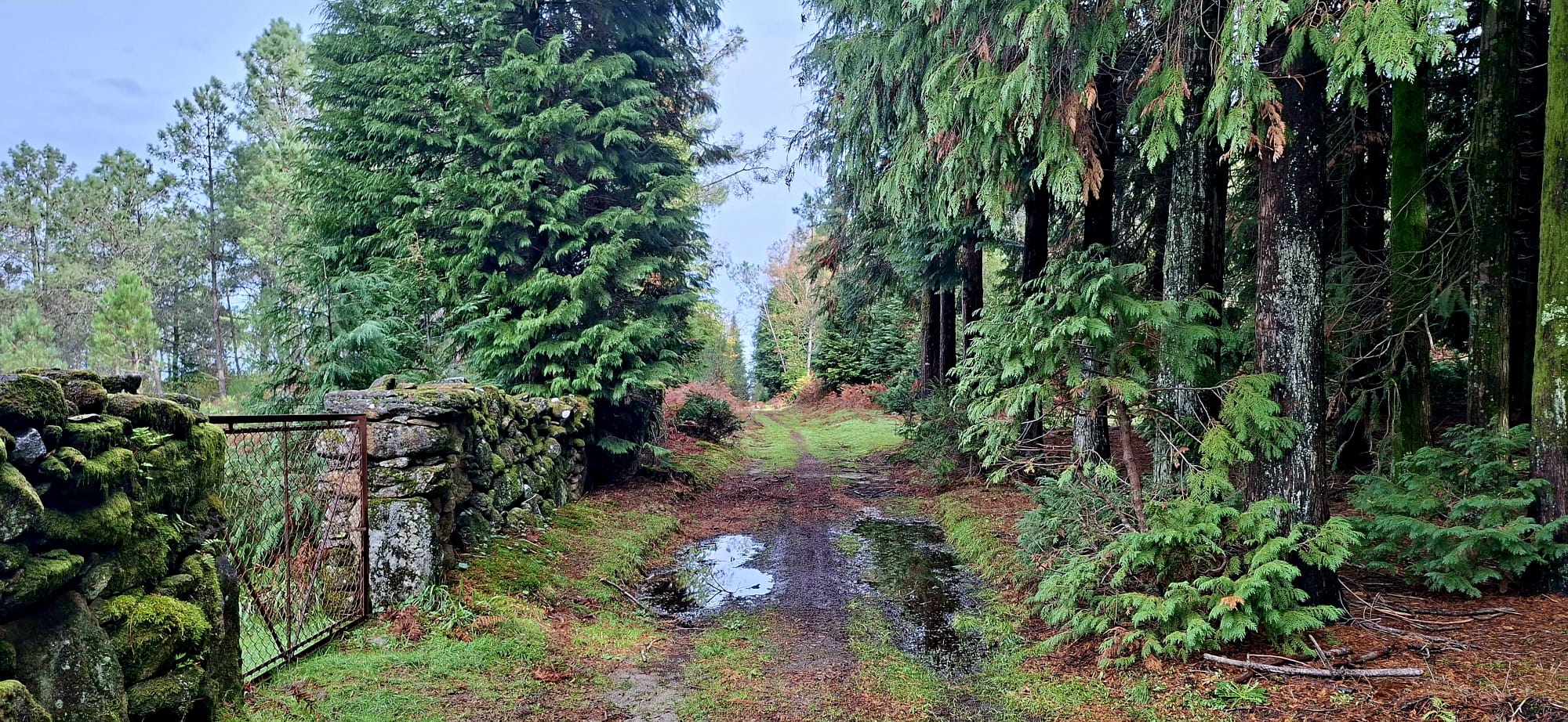 Caminho dos Mortos - Onde o silêncio tem voz Caminho dos Mortos - Onde o silêncio tem voz