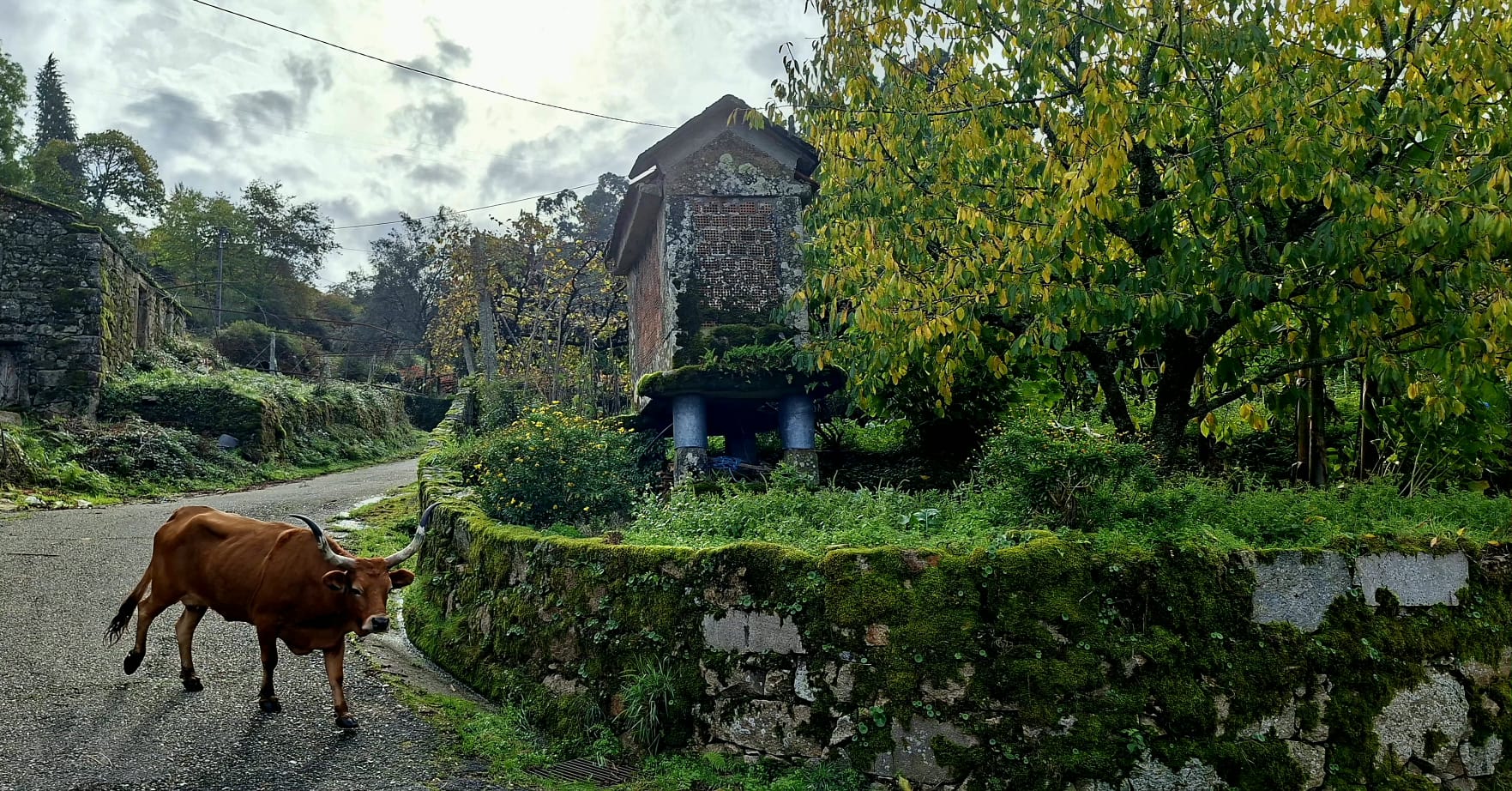 Caminho dos Mortos - Onde o silêncio tem voz Caminho dos Mortos - Onde o silêncio tem voz