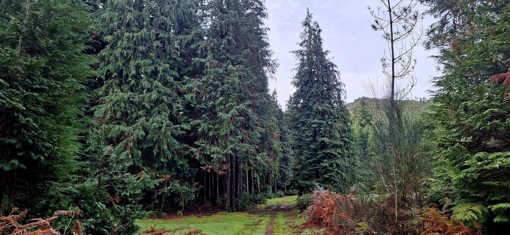 Caminho dos Mortos - Onde o silêncio tem voz Caminho dos Mortos - Onde o silêncio tem voz