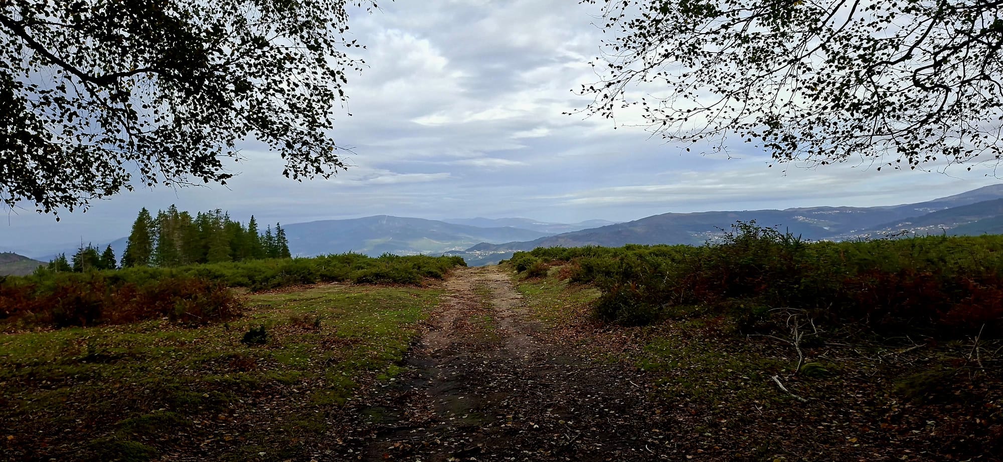 Caminho dos Mortos - Onde o silêncio tem voz Caminho dos Mortos - Onde o silêncio tem voz