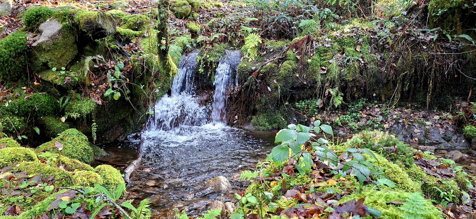 Caminho dos Mortos - Onde o silêncio tem voz Caminho dos Mortos - Onde o silêncio tem voz
